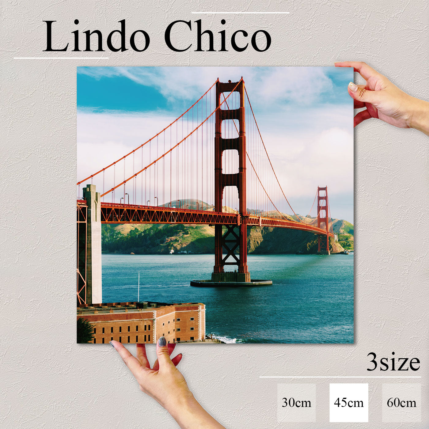 Fab-Lindo-Chico-abc-093