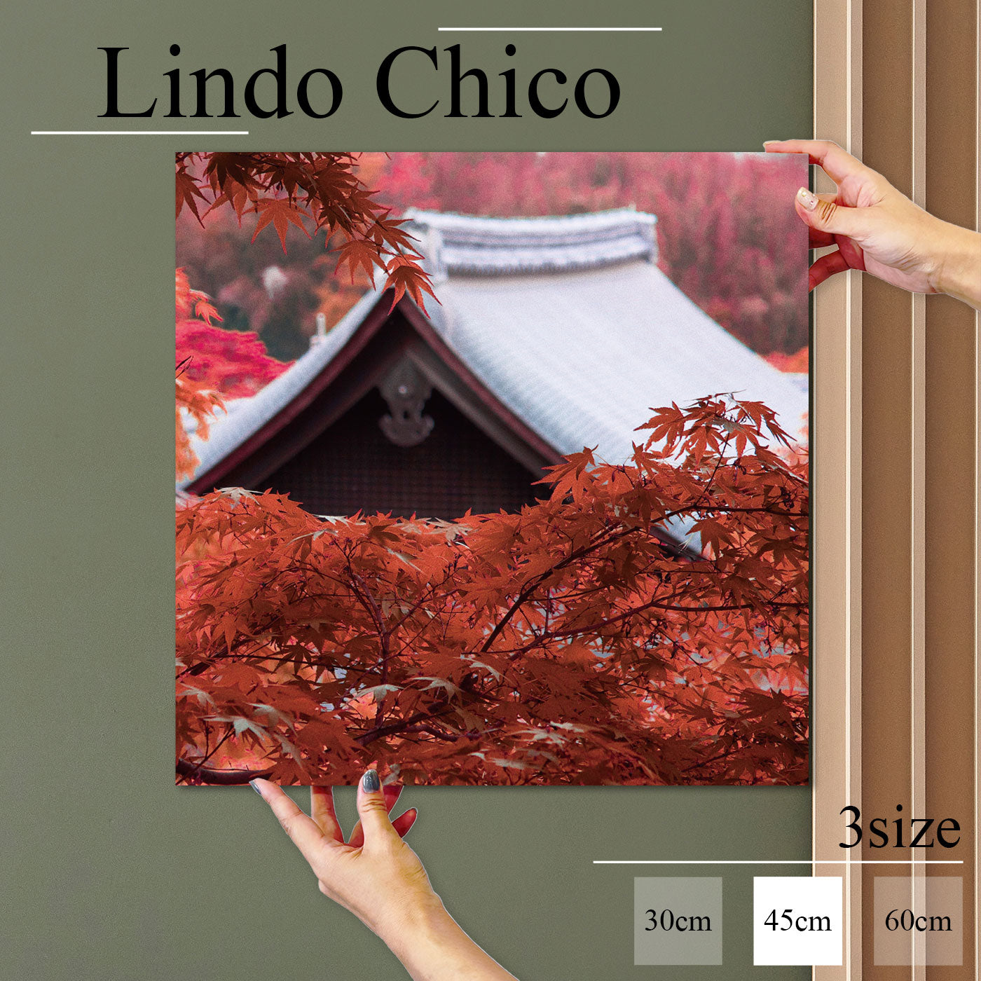 Fab-Lindo-Chico-abc-099