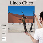 Fab-Lindo-Chico-abc-015