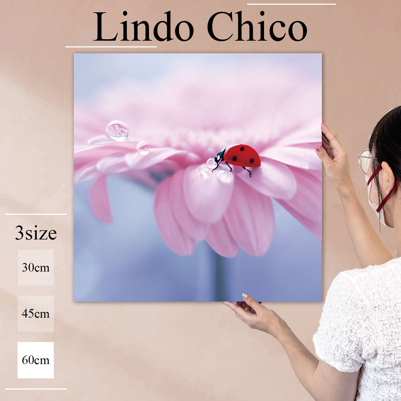 Fab-Lindo-Chico-abc-033