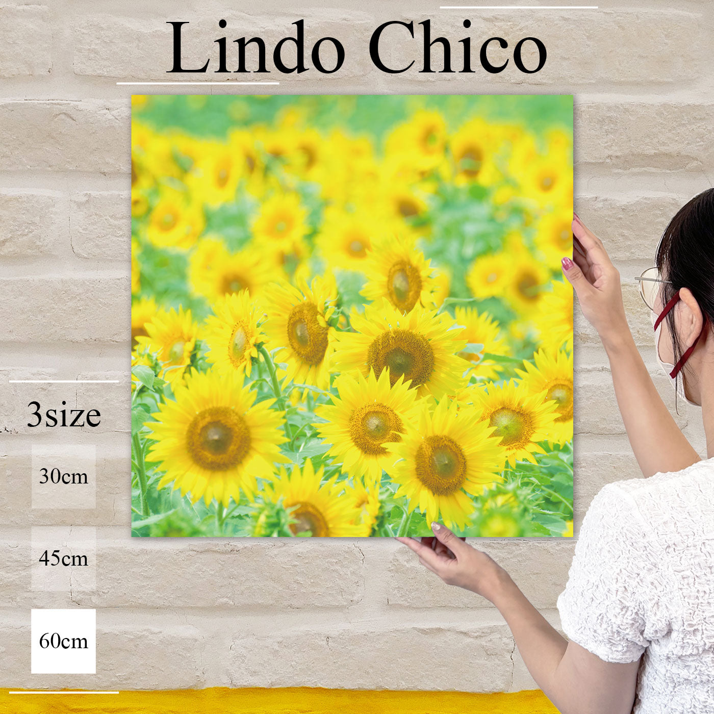 Fab-Lindo-Chico-abc-035