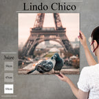 Fab-Lindo-Chico-abc-041
