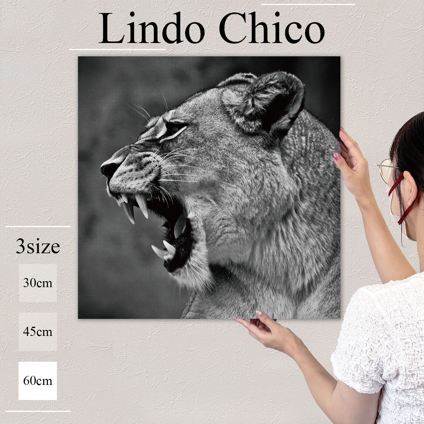 Fab-Lindo-Chico-abc-051