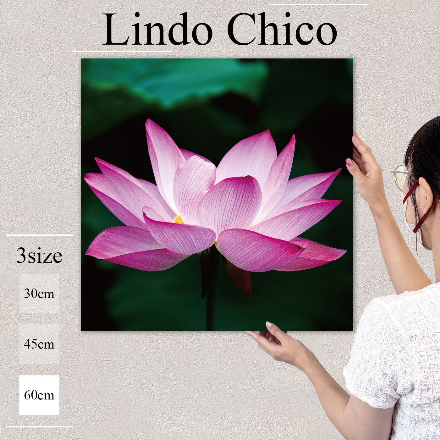 Fab-Lindo-Chico-abc-057