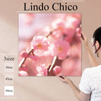 Fab-Lindo-Chico-abc-058