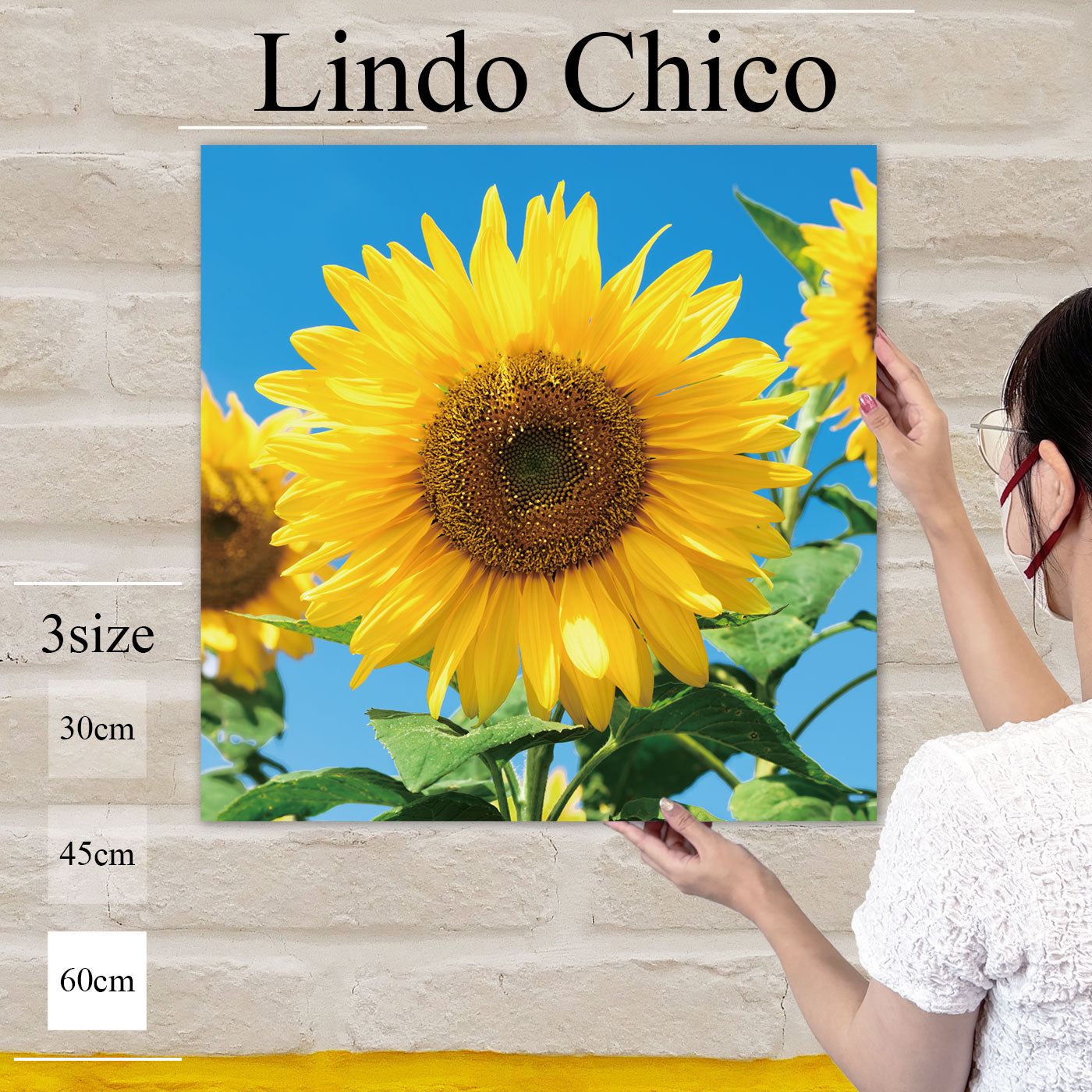 Fab-Lindo-Chico-abc-059