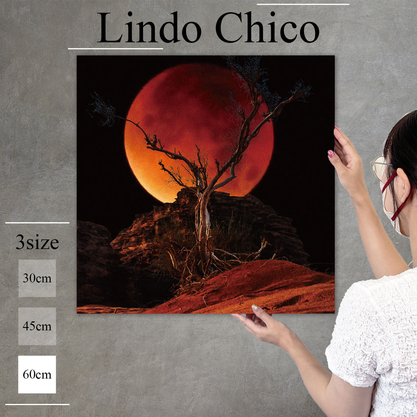 Fab-Lindo-Chico-abc-067