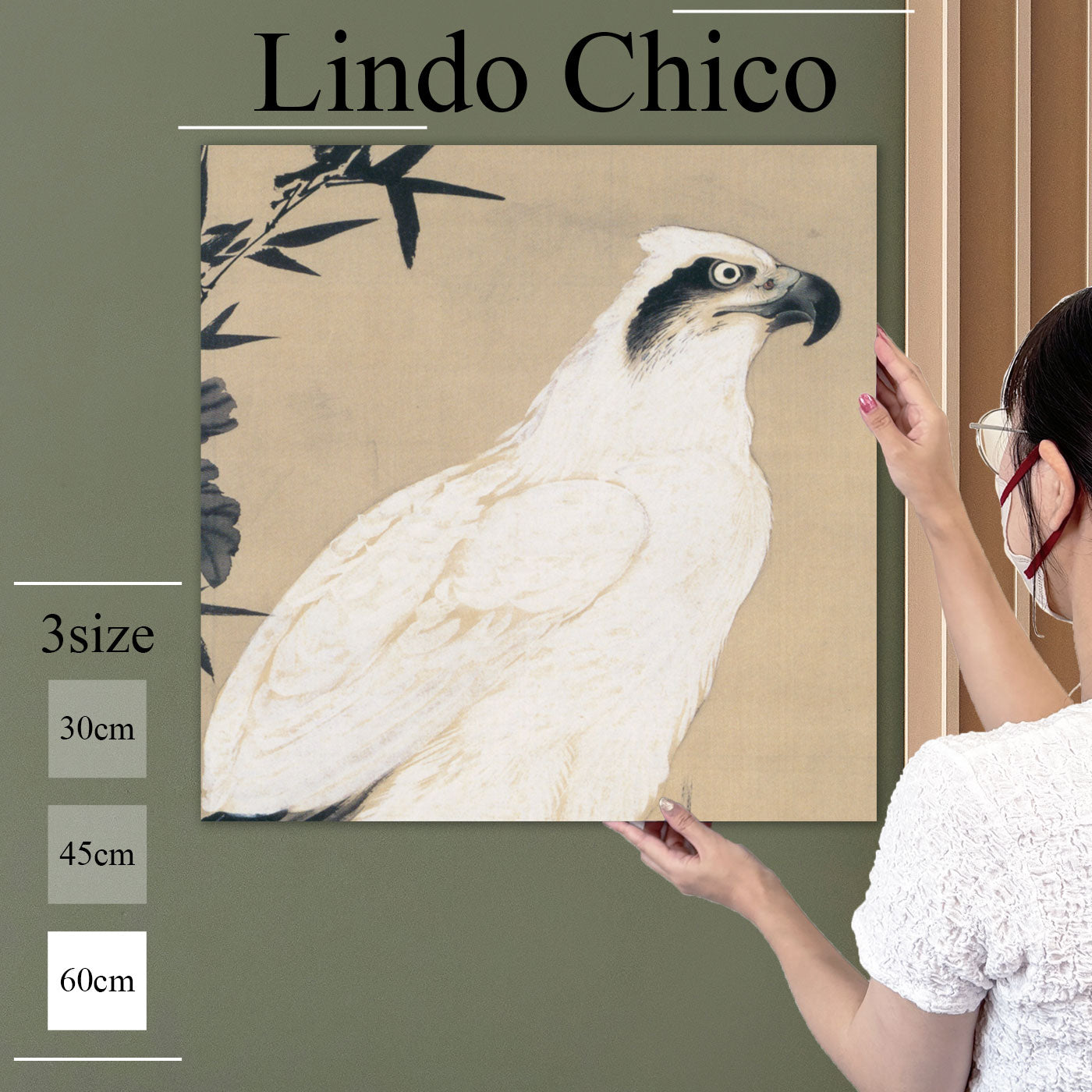 Fab-Lindo-Chico-abc-072