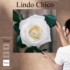 Fab-Lindo-Chico-abc-081