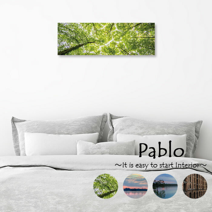 Fab-Pablo-Y-013